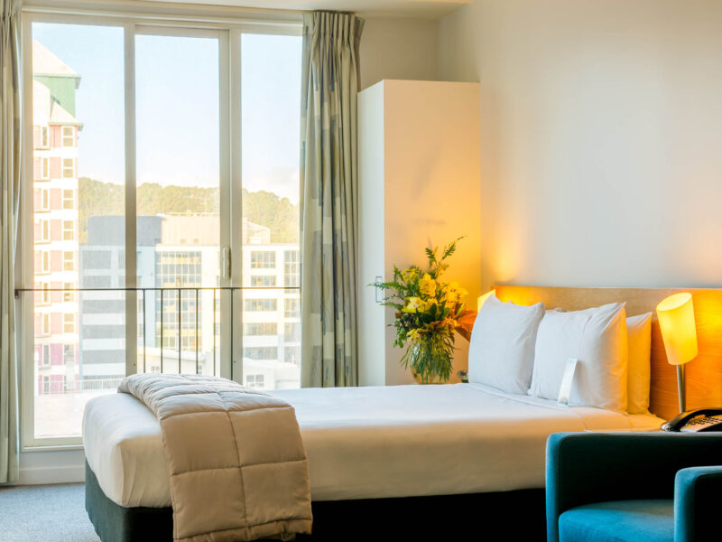 Astelia Apartment Hotel, Wellington, NZ.  Photo credit: Stephen A’Court.  COPYRIGHT ©Stephen A’Court